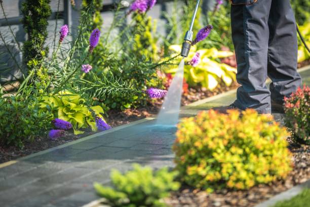 Reliable Trion, GA Pressure Washing Services Solutions