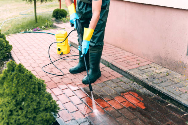 Best Roof Washing  in Trion, GA